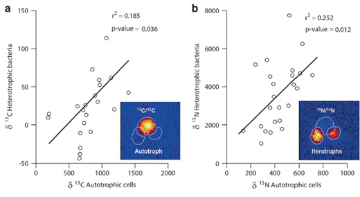 marine-microorganism-C-N-cycle