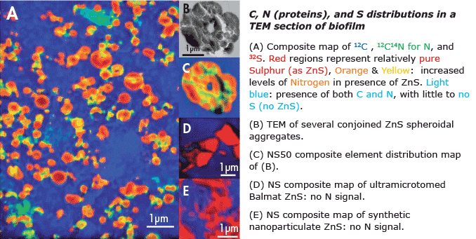 NanoSIMS Application in Bio-Geochemistry: Extracellular proteins limit the dispersal of biogenic nanoparticles