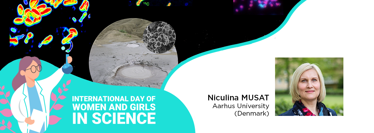 Imaging Microbial Life at the Nanoscale: How nanoSIMS Reveals Single-Cell Function